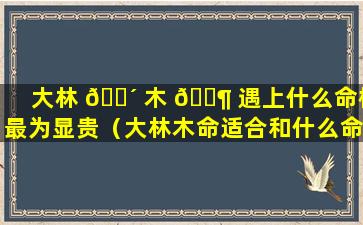 大林 🐴 木 🐶 遇上什么命格最为显贵（大林木命适合和什么命的人在一起）